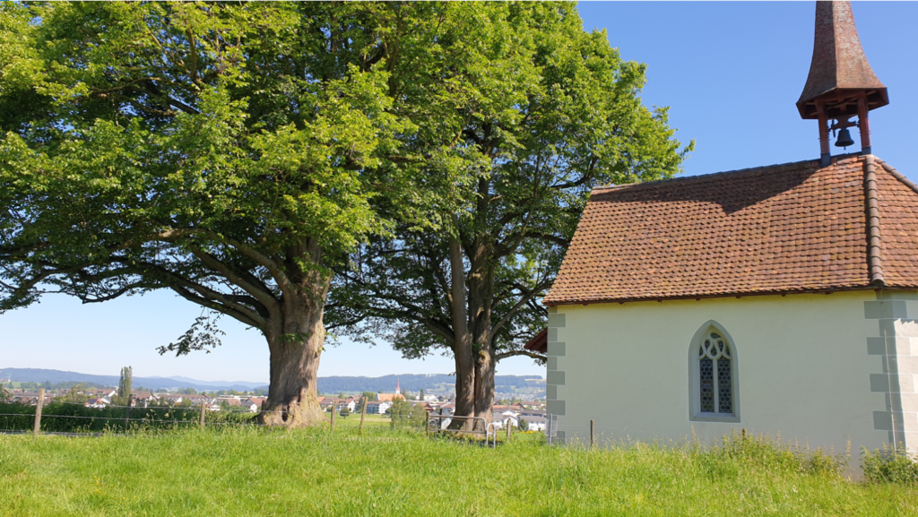 Eine kleine Kapelle mit einem braunen Ziegeldach steht auf einer Wiese neben zwei großen Bäumen. Im Hintergrund ist ein klarer blauer Himmel zu sehen und man sieht ein entferntes Dorf mit verstreuten Gebäuden und einer hügeligen Landschaft.